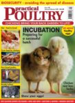 Practical Poultry