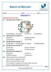 Grade-6-Science-Olympiad Basics of Biology