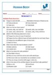 Grade-6-Science-OlympiadL: Human Body