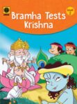 Bramha Tests Krishna
