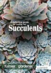 A definitive Guide to Caring for Succulents