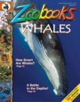 Zoobooks