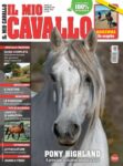 Il Mio Cavallo