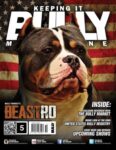 Keeping It Bully Magazine