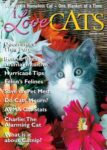 I Love Cats Magazine