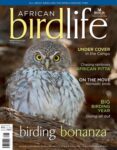 African Birdlife