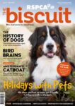 The Biscuit - Pet and Animal Magazine