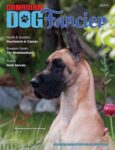 Canadian Dog Fancier