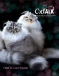 Cat Talk