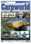 Carpworld