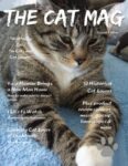 The Cat Mag