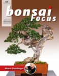 Bonsai Focus FR