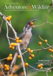 Adventure & Wildlife