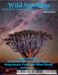 Wild Sunshine