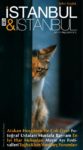 istanbul&istanbul