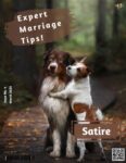 Expert Marriage Tips