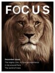 Focus Magazine US