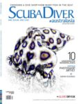 Scuba Diver - AustralAsia