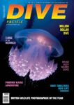 Dive Pacific