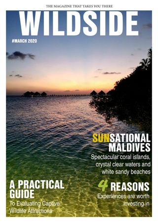 2-8005.jpg Wildside Magazine - Image 1