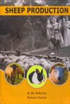 Sheep Production