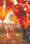 Pictures of Life by Faiz Yusuf