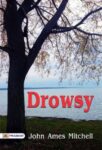 Drowsy by John Ames Mitchell