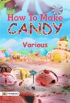 How To Make Candy by Various