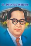 Dr. Bhim Rao Ambedkar  by S.K. Agrawal