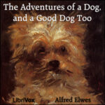 The Adventures of a Dog, and a Good Dog Too