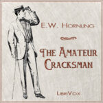 The Amateur Cracksman