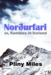 Norðurfari; or, Rambles in Iceland by  Pliny Miles
