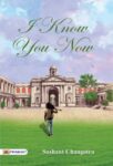 I Know You Now by Sushant Changotra