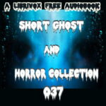 Short Ghost and Horror Collection 037