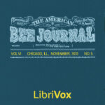 The American Bee Journal, Vol. VI. No. 5, Nov 1870