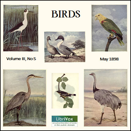 birds_may1898_2011.jpg Birds, Vol. III, No 5, May 1898 - Image 1