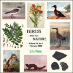 Birds and All Nature, Vol. VII, No 2, February 1900