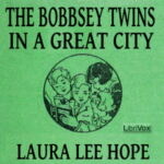 The Bobbsey Twins in a Great City