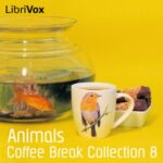 Coffee Break Collection 008 - Animals