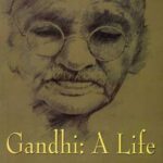 Africa Needs Gandhi! - by Fr. Jude Thaddeus Langeh