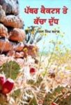 Pathar Cactus Te Kacha Dudh