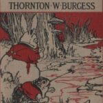 The Adventures of Old Mr. Toad