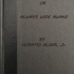 Joe's Luck; Or, Always Wide Awake