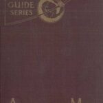 American Men of Action