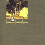 In the Border Country