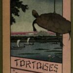 Tortoises