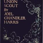 A Little Union Scout