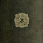 Amaryllis at the Fair