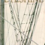 Eyeshine