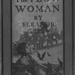 The Plow-Woman